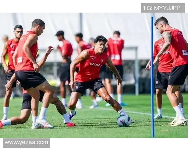 克卢日对阵拉齐奥前瞻分析双方实力对比及比赛预测